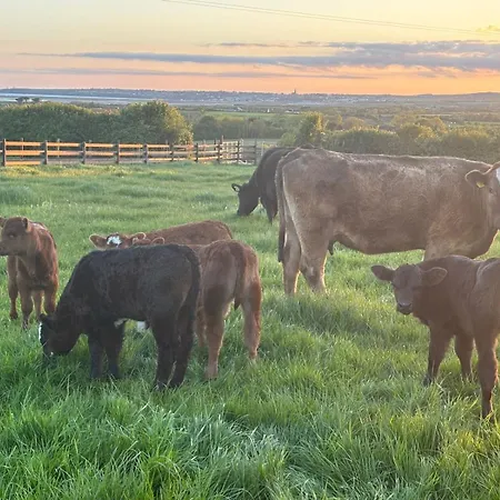 Ferienhaus An Teach Beag - Dunmore East