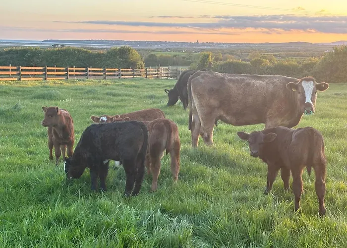 Semesterbostad An Teach Beag - Dunmore East